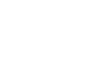 logo-bad-boy1.png